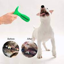 Pin On Dog Chew Toys