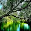 4k wallpapers of windows 10 for free download. Https Encrypted Tbn0 Gstatic Com Images Q Tbn And9gctuko5iwttvt9ox1jdfzpx2rwao3et8eip506tryprt74t4vyvk Usqp Cau