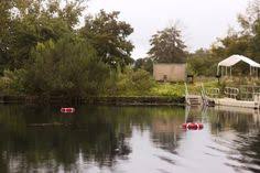 30 best nature images nature san marco spring lake