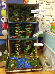 Biome In A Box Project Biome Box Project Google Search Biomes Project Biomes Projects