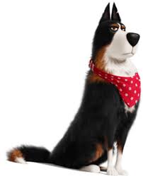 Rooster The Secret Life Of Pets 2 Heroes Wiki Fandom Powered By Wikia Secret Life Of Pets Cute Dog Pictures Pets Movie