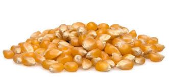 An Intro To Kernels Kernels Are Magic By Steven Dye Towards Data Science
