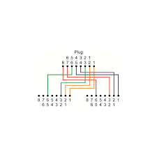 Click to check the right one for you or print as reference. Xt 0254 Cat 5 Cable Wiring Diagram Cat5 Wiring Diagram Wall Plate Darren Schematic Wiring