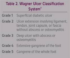 Image result for IDSA Diabetic Foot Wound Classification