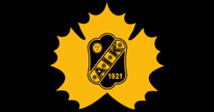 The shl is the highest level of ice hockey in sweden. Skelleftea Aik Hockey U16