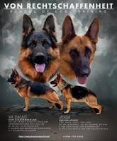 Madhouse's New Beginnings