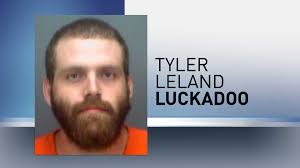 Largo man accused of domestic, animal abuse