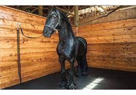 It absorbs impact better than the other flooring options, which means your trailer is better if you need comfortable flooring for mobile home trailers or rvs specifically, consider carpet tiles. Rubber Mats For Horse Stalls And Livestock Trailers