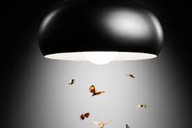 Yellow Light Bulbs Keep Bugs Away