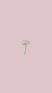 Maybe you would like to learn more about one of these? Aesthetic Cute Wallpaper Simple Novocom Top