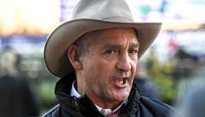 Julien Welsh: The Horse Whisperer