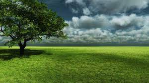 3d Nature Tree Wallpapers Landscape Wallpaper Beautiful Landscapes Beautiful Nature