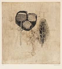 Epingle Par Makka Funes Sur Aquatinte Art Dessin Illustration Botanique Art Design