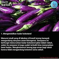 Penggunaan obat demam tipes yang satu ini dapat diperoleh bebas di apotek tanpa perlu resep dari dokter. Pin Oleh Akaselputra Di Health Terong Tanaman Obat Kesehatan