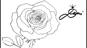 Top auswahl günstige preise große marken für jede altersklasse. Rose Schnell Zeichnen Lernen Mit Bleistift 1 Vorzeichnung How To Draw A Rose Kak Se Risuva Roza Youtube
