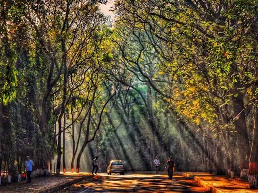 Sanjay Gandhi National Park: A Guide to Mumbai's Green Oasis