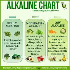 Alkaline Foods Chart Apanache