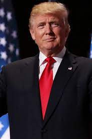 Donald trump has been in the news since 2016 as the main opponent of hillary clinton and a us presidential hopeful. Donald Trump Starportrat News Bilder Gala De