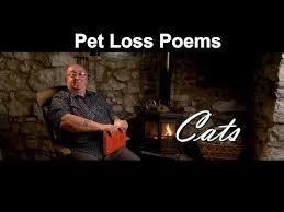 See more ideas about pet loss grief, cat loss, pet remembrance. Pet Loss Poems Cats Youtube