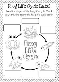 Life Cycles Frog Activities Life Cycles Science Life Cycles