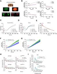 Then you have to wait a couple hours or something so roblox can verify it and it be fully uploaded. Magnesium Efflux From Drosophila Kenyon Cells Is Critical For Normal And Diet Enhanced Long Term Memory Elife