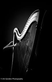 Black And White Music Instruments Photography Harpist Musician Portraits Music Photography Harpist