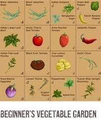 Great Ideas For One Of My Beds Vegetable Garden For Beginners Veg Garden Plants