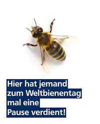 Gute beratung & flexibler service. Volksbank Raiffeisenbank Niederschlesien Eg Startseite Facebook