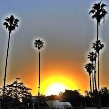 Maybe you would like to learn more about one of these? Pin On Views Around Beverly Hills And Los Angeles
