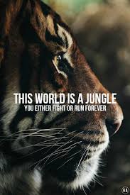 Why does the guerrilla fighter fight? Fighter Quotes Tumblr Dogtrainingobedienceschool Com