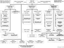 43 Skillful Co Director Org Chart