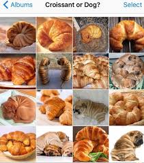 Croissant Or Dog Shar Pei Food Animals Dog Memes