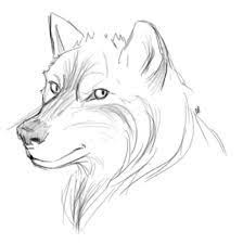 Image Result For Easy How To Draw Wolf Drawings Cool Drawings Easy Drawings