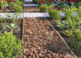 Creer Le Plan De Son Potager Potager Idee Amenagement Jardin Amenagement Jardin