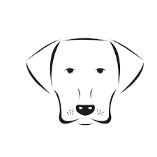Enter your email address to receive alerts when we have new listings available for black lab puppies for sale. Mcclan Labradors