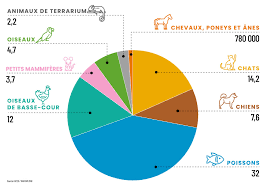 Étonnant quand on sait que la france est un pays qui, en europe, a peu d'immigrés, mais qui a la particularité d'en enfermer le plus. Le Top Des Applications Et Plateformes Dediees Aux Animaux De Compagnie