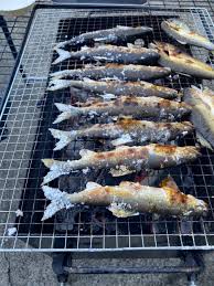鮎の塩焼きをおいしく作る、塩の振り方と焼き方 - 四万十川の天然もんアユとウナギの Shimanto 魚
