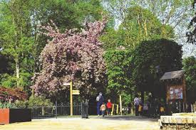 Adresses, numéros de téléphone, critiques et autres informations. Deconfinement Le Parc De Soubiran Peut Rouvrir A Dammarie Les Lys La Republique De Seine Et Marne
