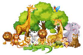 Изучайте релизы the animals на discogs. Beginner Speaking Animals Activities Pre A1 Level Of English