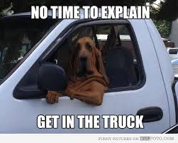 Visit Www Amazingdogtales Com For The Best Funny Dog Joke Pics Inspirational Dog Stories And Dog News Get In Th Funny Dogs Funny Dog Pictures Funny Animals