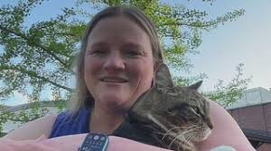 Vermont State University gives resident cat an honorary doctorate