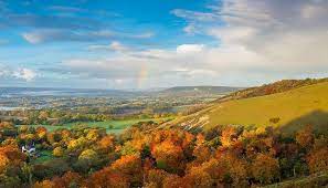 We did not find results for: The Surrey Hills Area Of Outstanding Natural Beauty Aonb Towns Villages In Surrey Visit Surrey