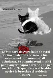 Cartoline D Amore Solo Immagini Love Life Quotes Love Words Italian Joke