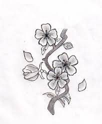 Cherry blossoms aren't just known for their beautiful blooms. Cherry Blossom Cherry Blossom Drawing Flower Drawing Cherry Blossom Flowers