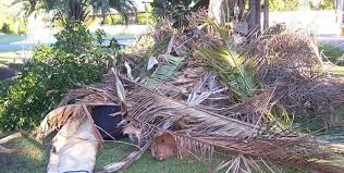 No independent scientist in the world has done more research on the removal of radioactive elements from the human digestive tract. Efficient Garden Refuse Removal In Pretoria Tel 012 004 1846