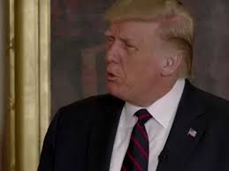 Trump: 'I took hydroxy, Z-Pak and zinc'