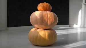 Image result for fat ass pumpkin