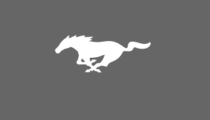 Image result for Raven Black 1964 Mustang