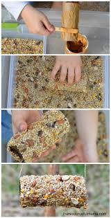 Easy Toilet Paper Roll Bird Feeder Craft Bird Feeder Craft Homemade Bird Feeders Bird Feeders