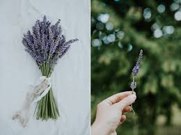 It's one of the most commonly used flowers in season for july wedding that are used as accents in bridal bouquets, corsages and table centerpieces. A Guide To Sustainable Seasonal Wedding Flowers July Danish Island Weddings